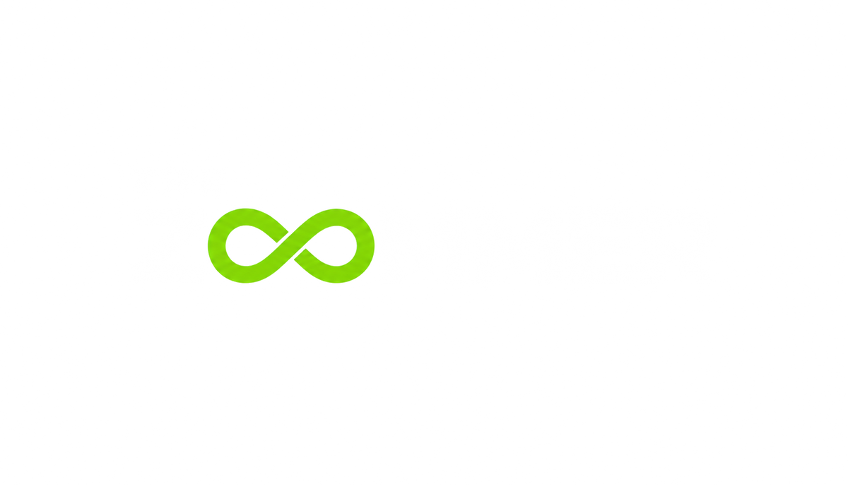 The Zoomer